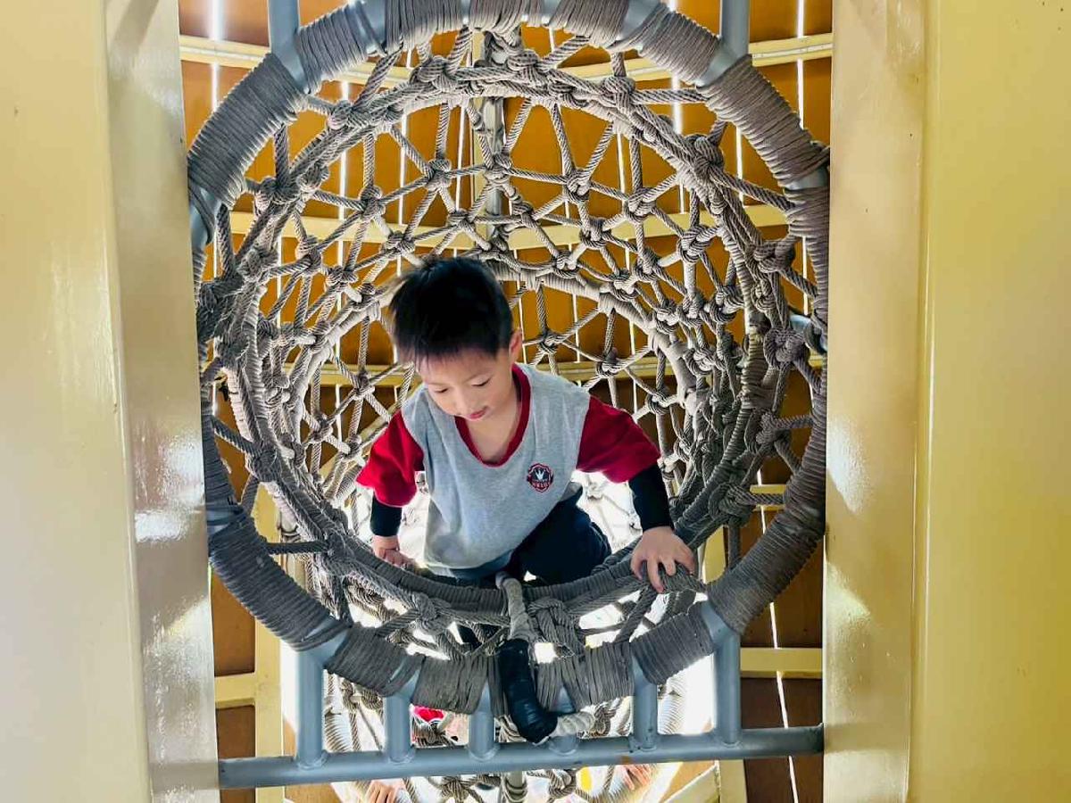 line_album_1150326柿子公園_260326_255