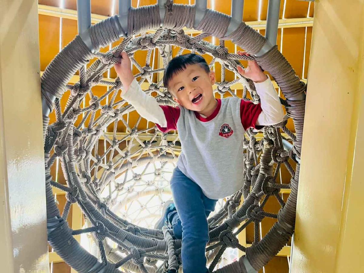 line_album_1150326柿子公園_260326_265