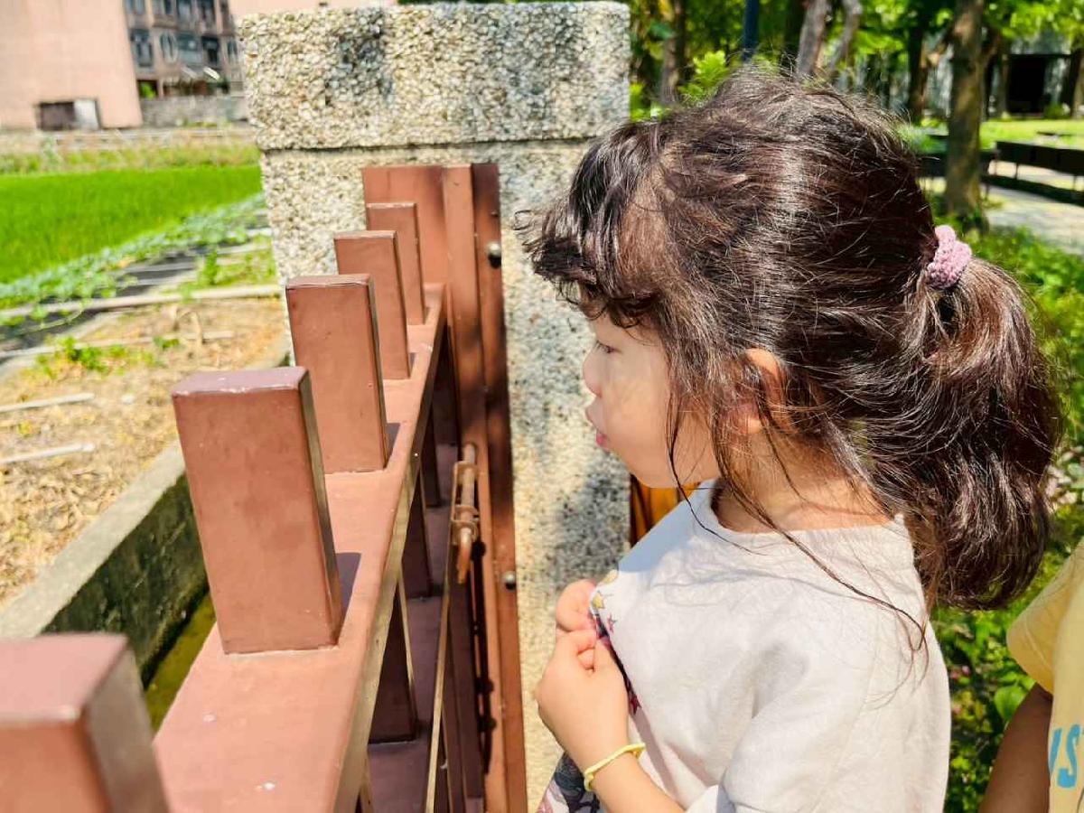 line_album_1150413大班生態園區_260413_198