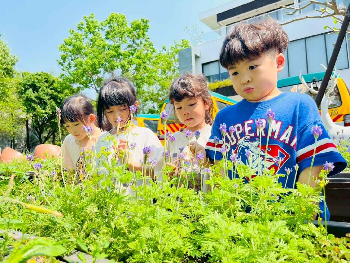 line_album_1150413大班生態園區_260413_192