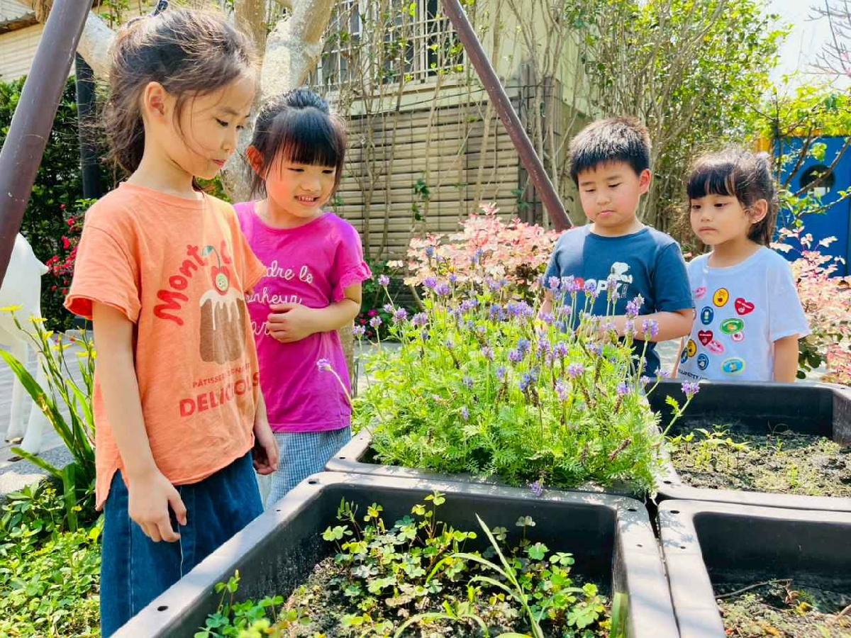 line_album_1150413大班生態園區_260413_185