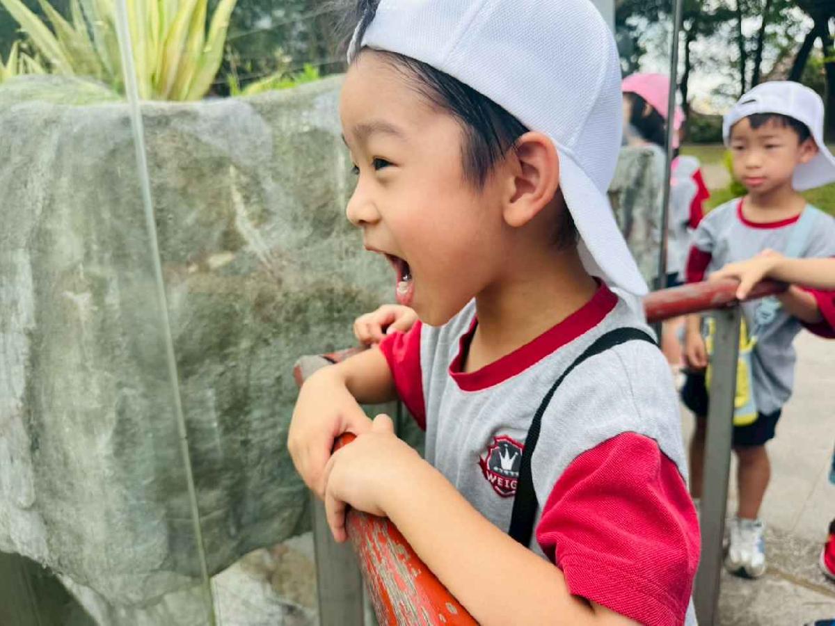 line_album_昆蟲館探險趣_260522_206