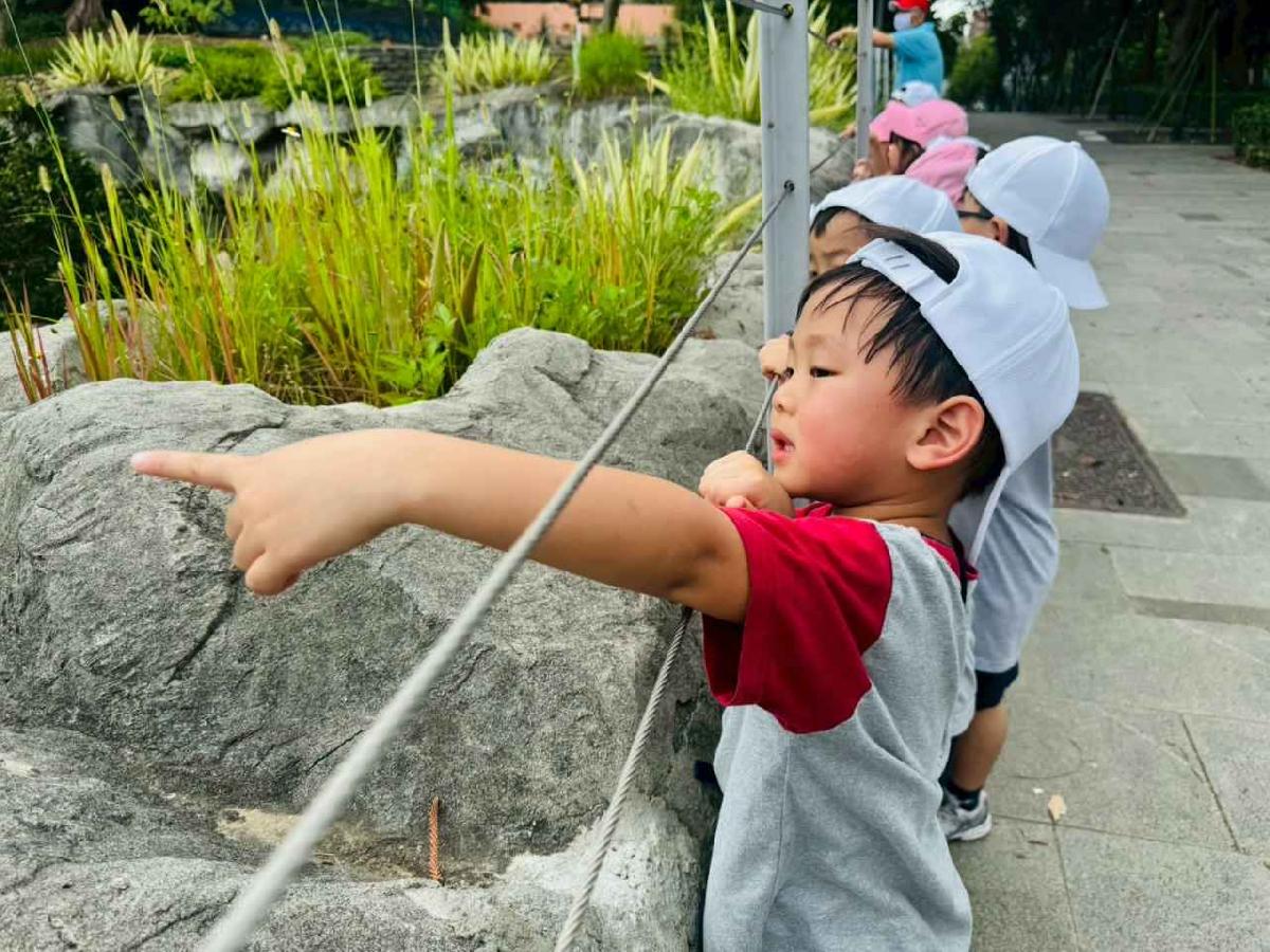 line_album_昆蟲館探險趣_260522_209