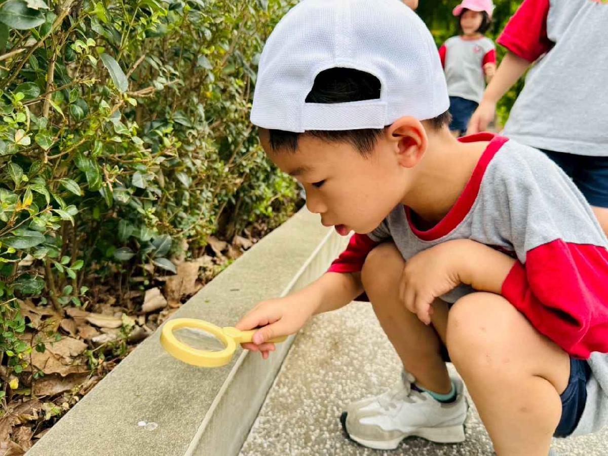 line_album_昆蟲館探險趣_260522_211
