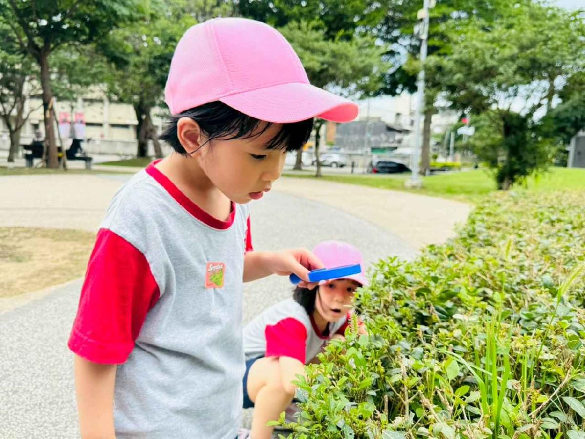 line_album_昆蟲館探險趣_260522_217