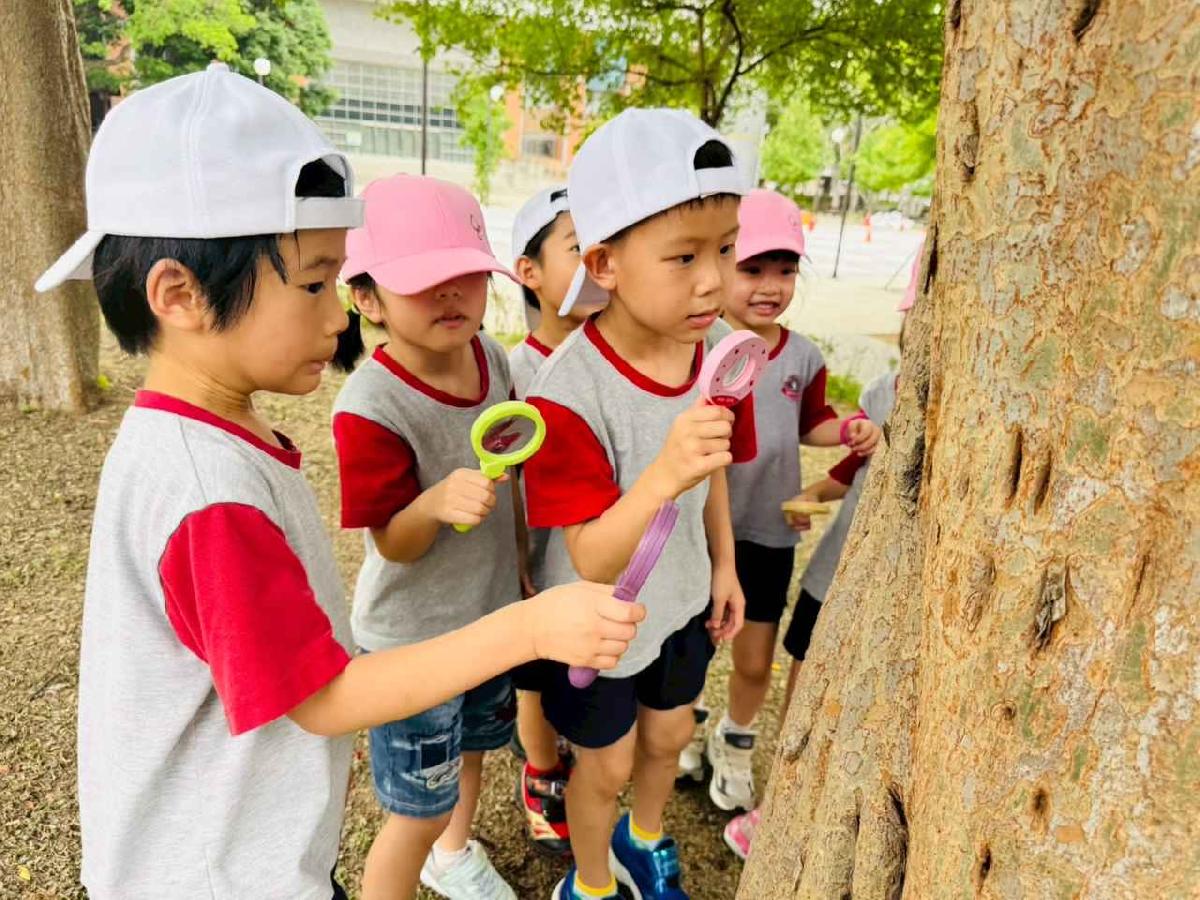 line_album_昆蟲館探險趣_260522_223
