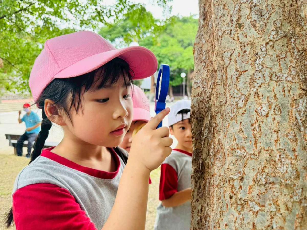 line_album_昆蟲館探險趣_260522_233