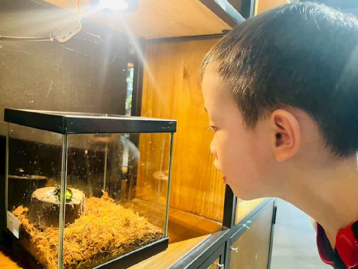 line_album_昆蟲館探險趣_260522_340