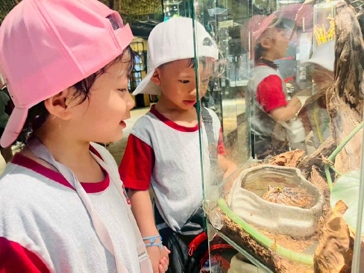 line_album_昆蟲館探險趣_260522_368