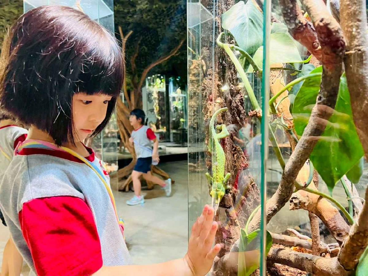 line_album_昆蟲館探險趣_260522_40