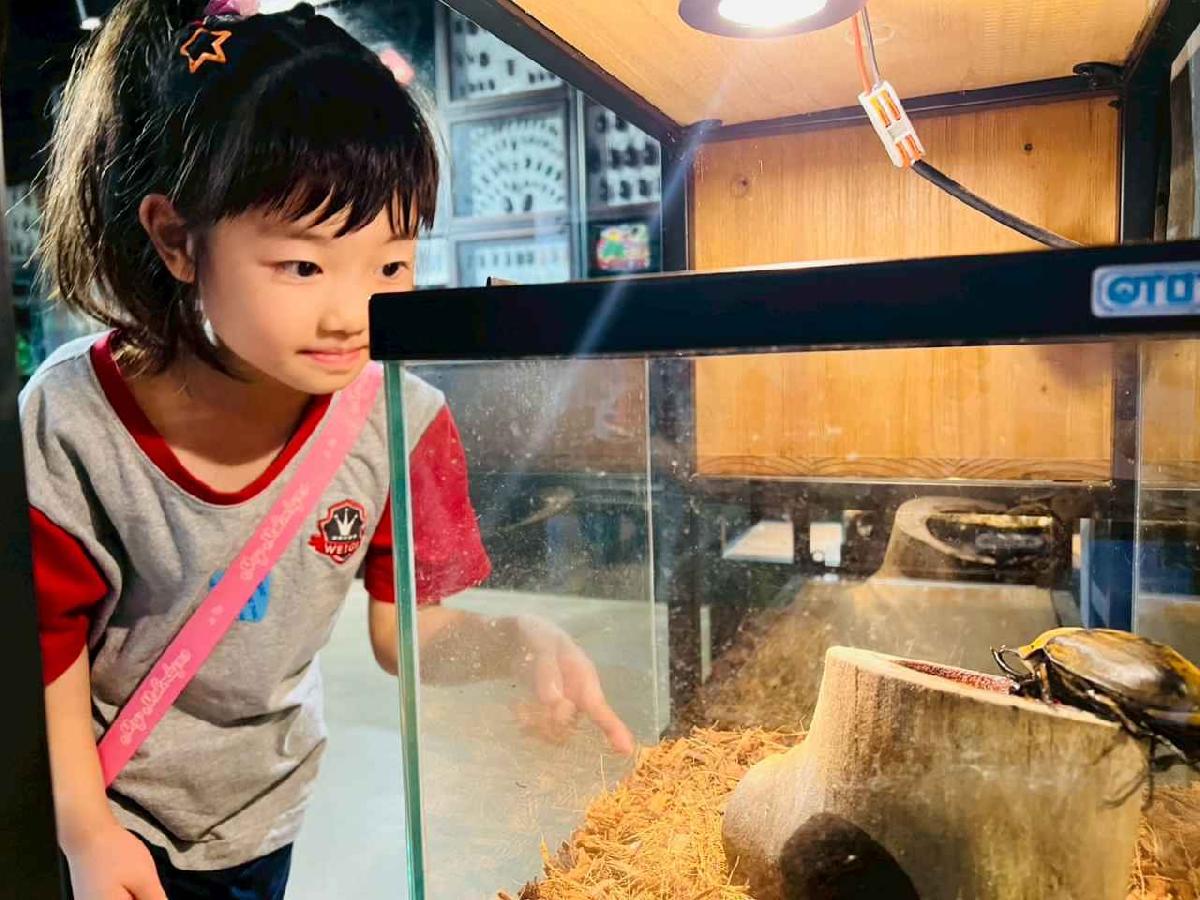 line_album_昆蟲館探險趣_260522_41