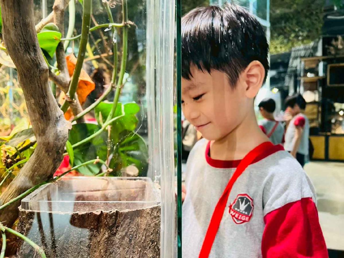 line_album_昆蟲館探險趣_260522_43