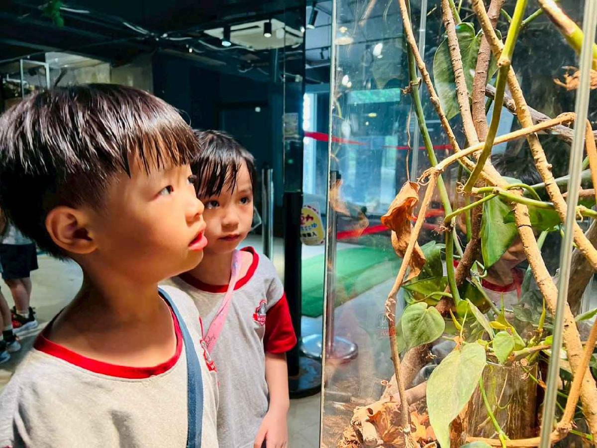line_album_昆蟲館探險趣_260522_44