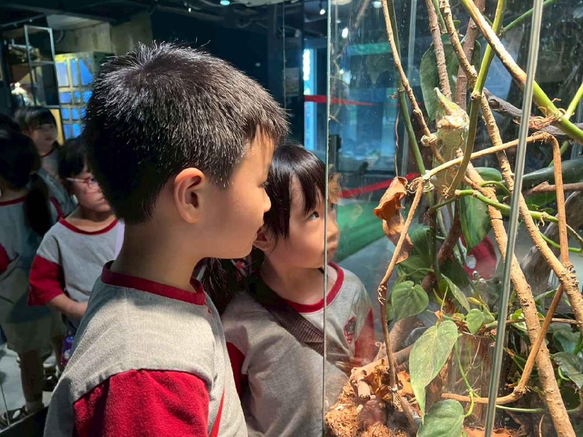 line_album_昆蟲館探險趣_260522_113