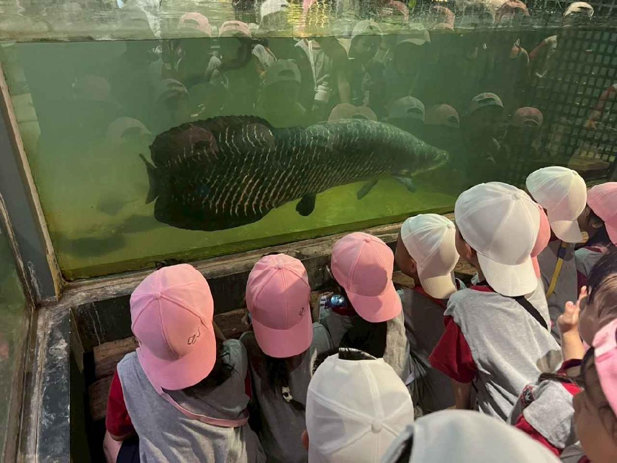 line_album_昆蟲館探險趣_260522_127