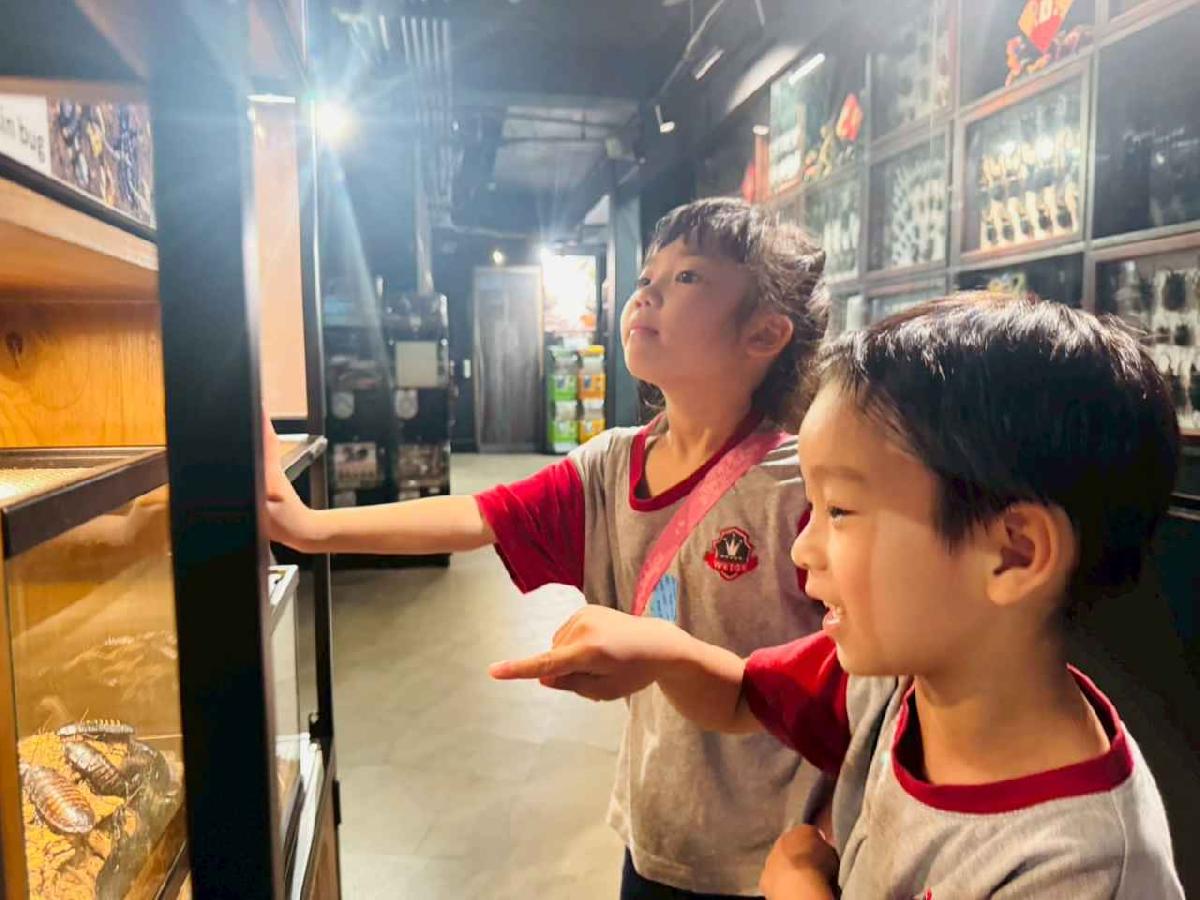 line_album_昆蟲館探險趣_260522_146