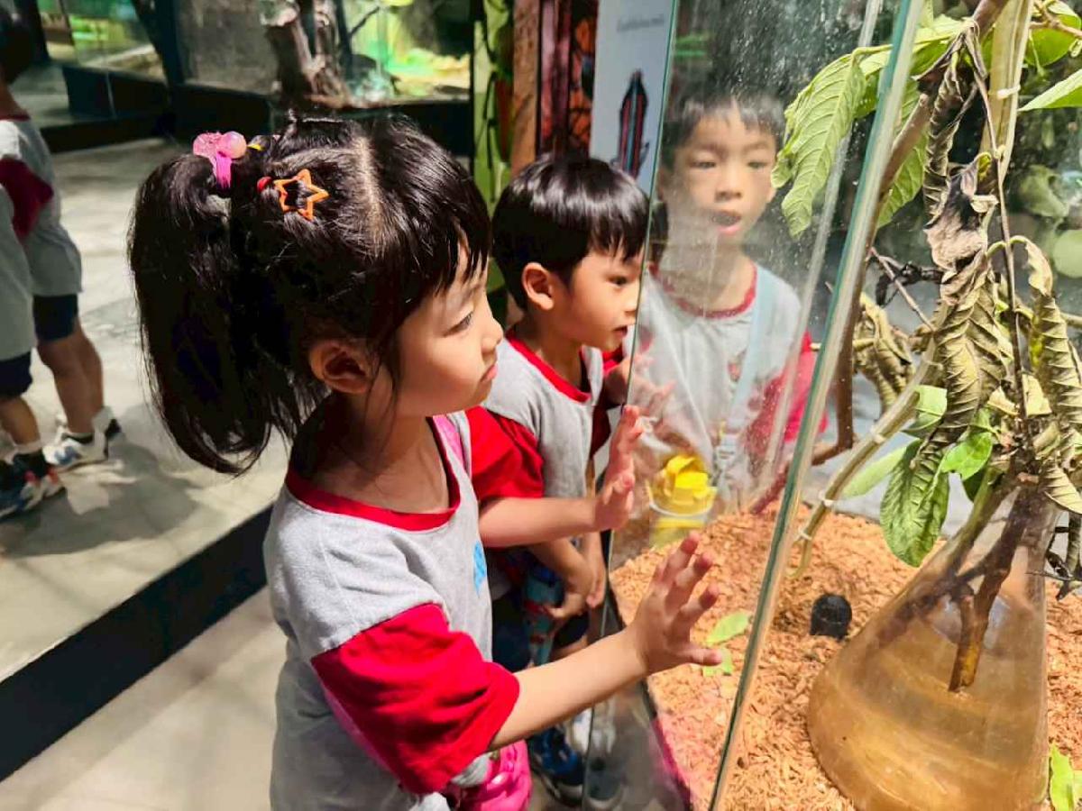 line_album_昆蟲館探險趣_260522_162