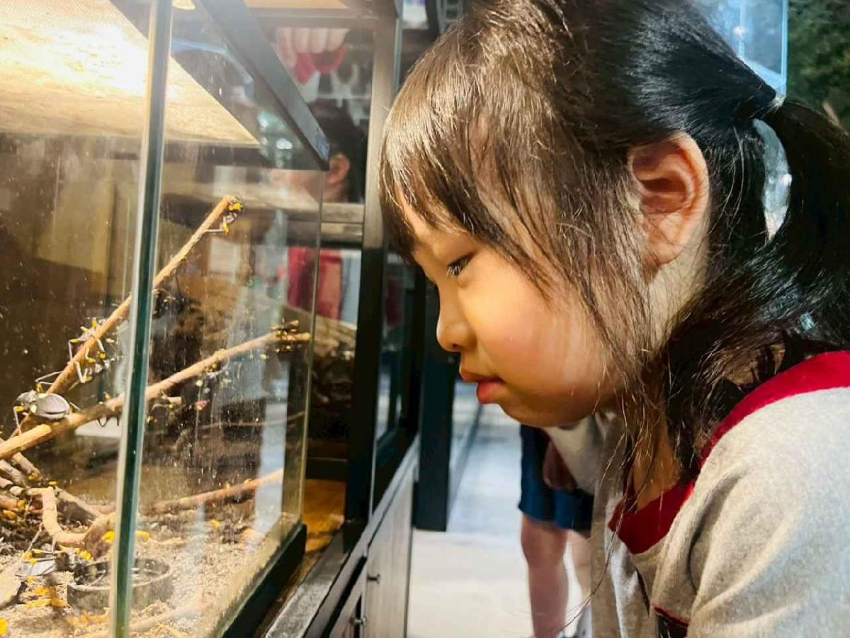 line_album_昆蟲館探險趣_260522_274