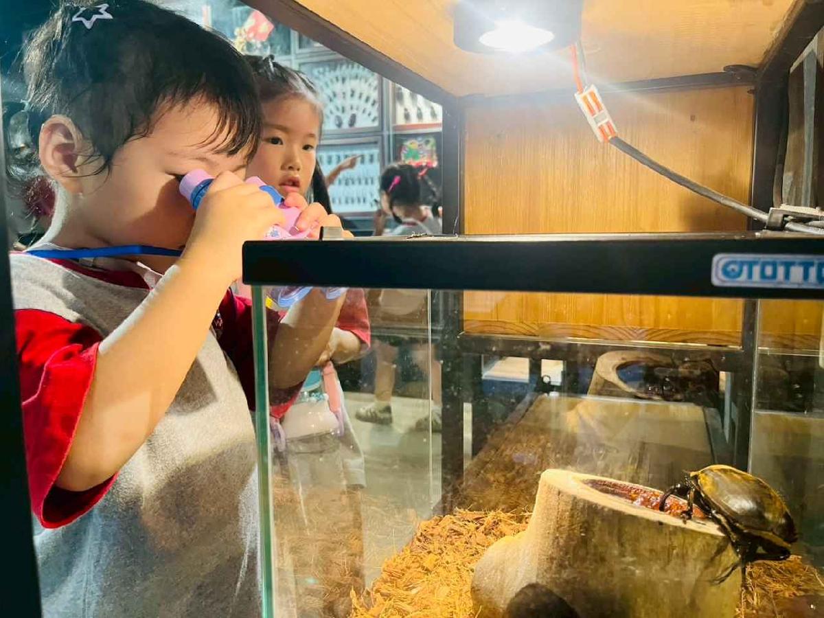 line_album_昆蟲館探險趣_260522_290