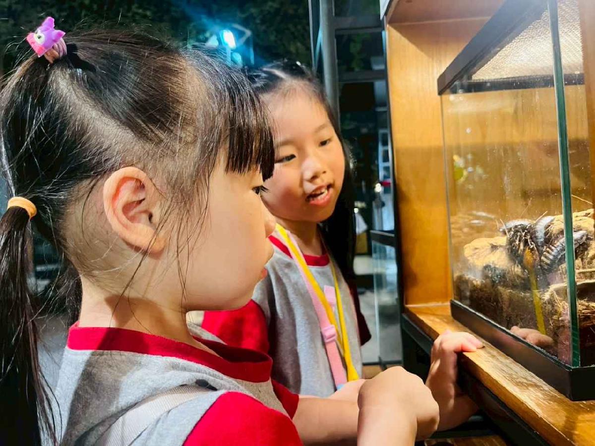 line_album_昆蟲館探險趣_260522_292