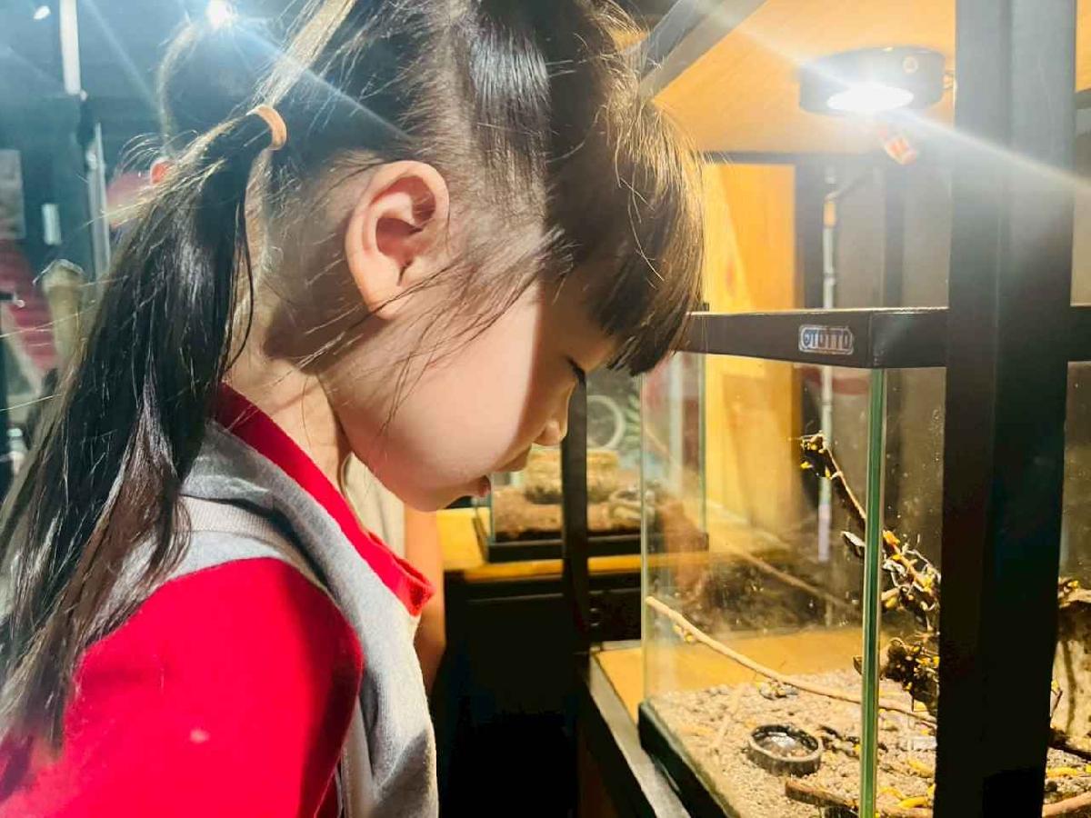 line_album_昆蟲館探險趣_260522_298