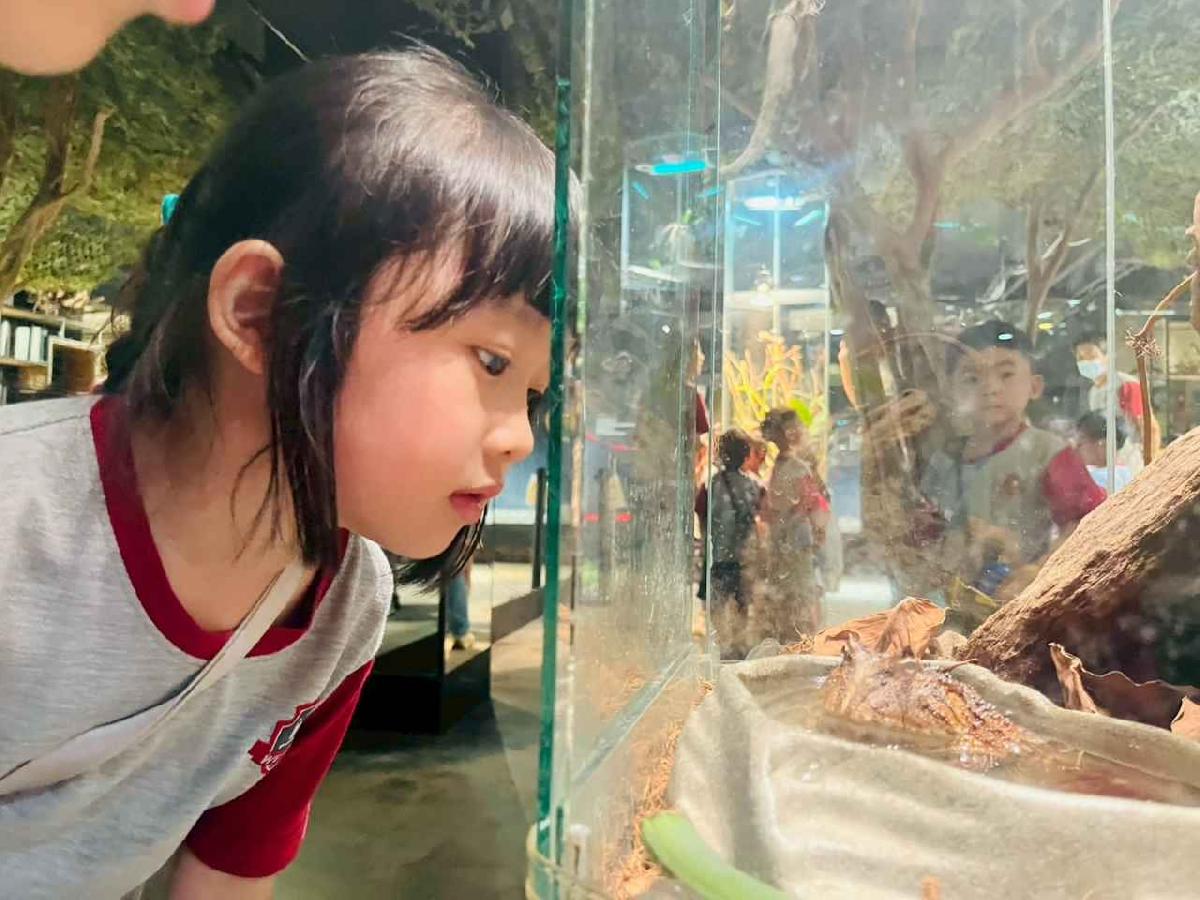 line_album_昆蟲館探險趣_260522_301