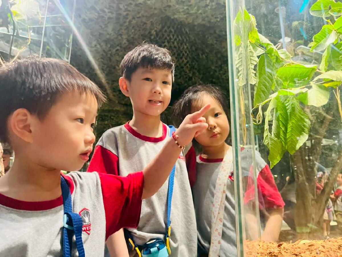 line_album_昆蟲館探險趣_260522_319