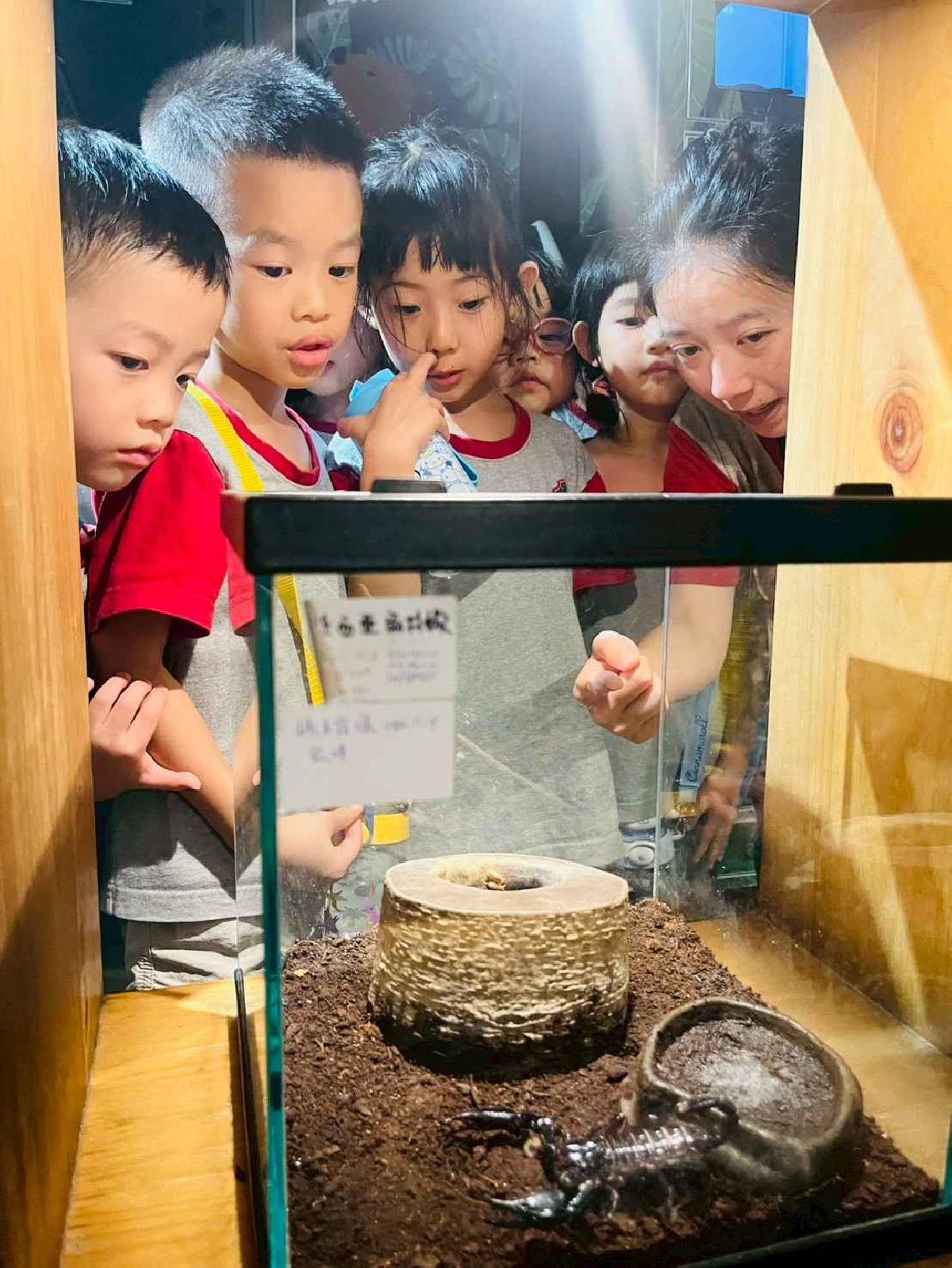 line_album_昆蟲館探險趣_260522_332