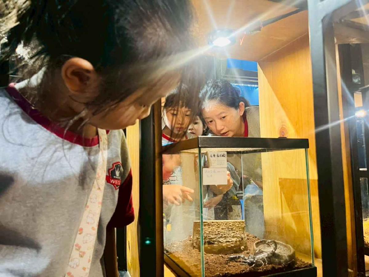 line_album_昆蟲館探險趣_260522_336