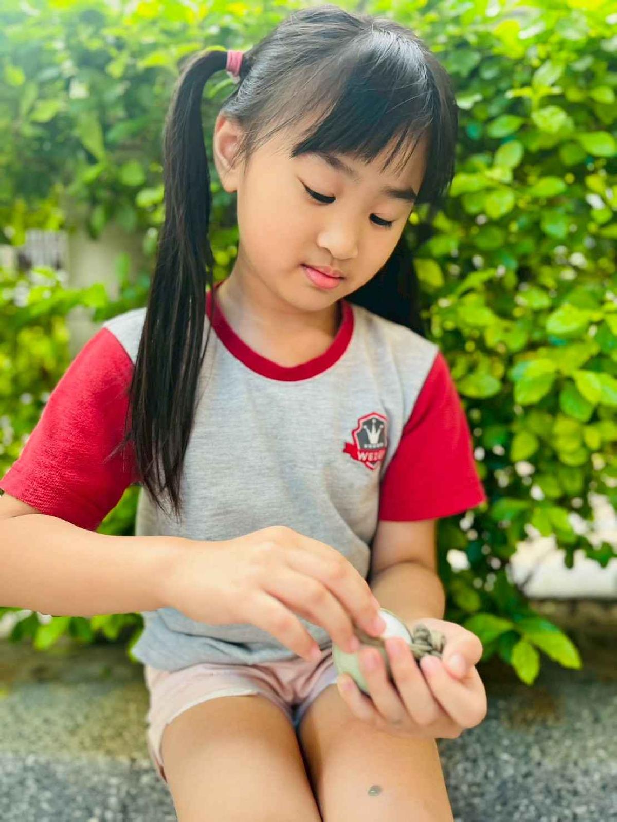 line_album_端午節_260615_657