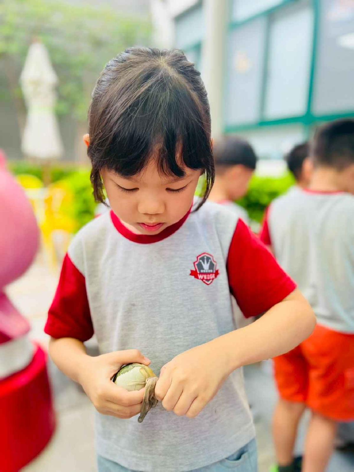line_album_端午節_260615_623