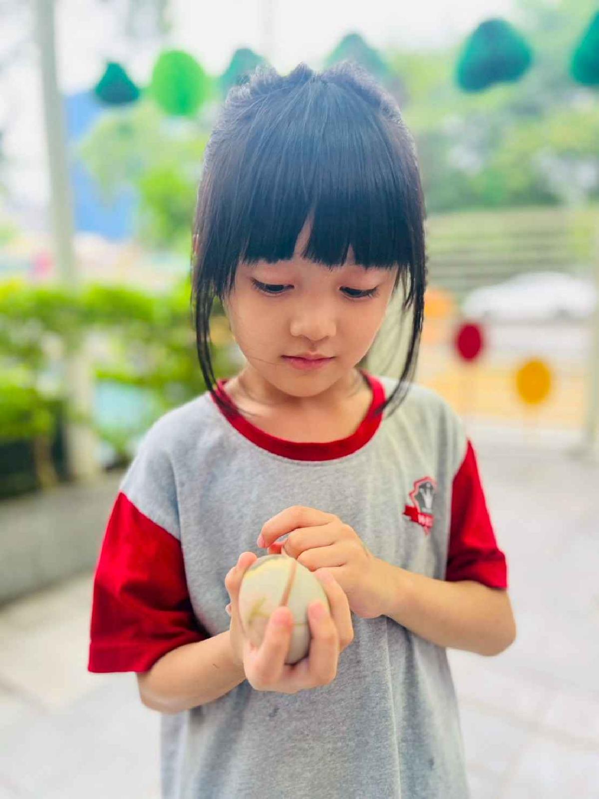 line_album_端午節_260615_625