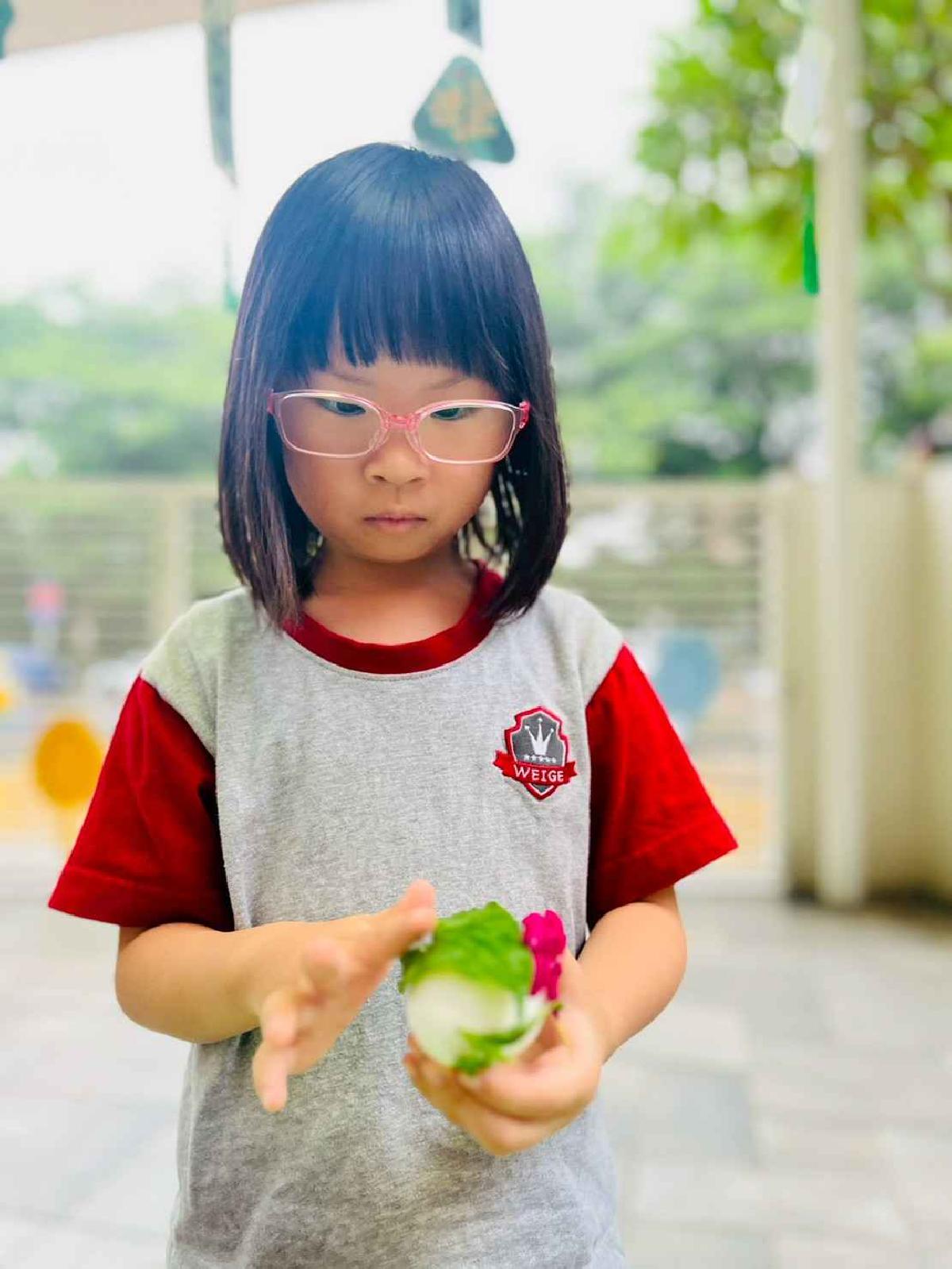 line_album_端午節_260615_673
